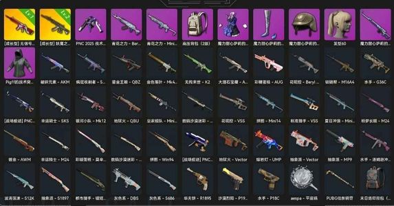 绝地求生（PUBG）精品号 瀚娜 无信号恶魔Ace