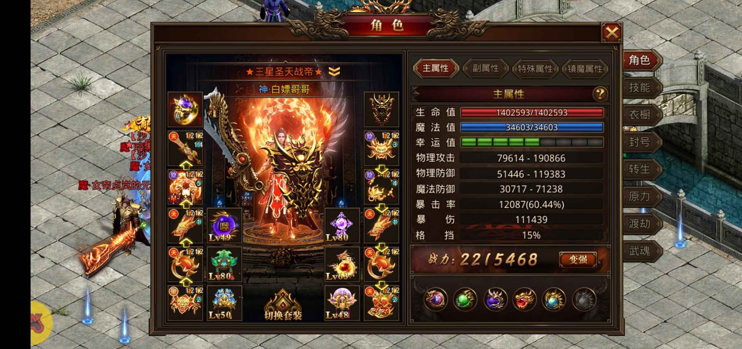 龙腾传世（贪玩传世）【220级】二区15转战士
