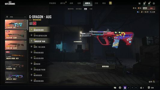 绝地求生（PUBG）异色权志龙AUG/喷子/ACE