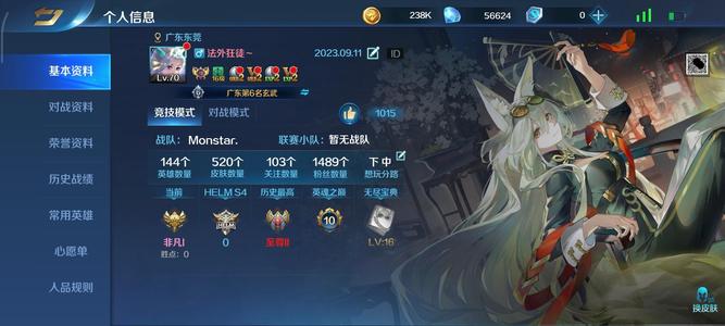 英魂之刃【70级】坐骑号全325.100套系