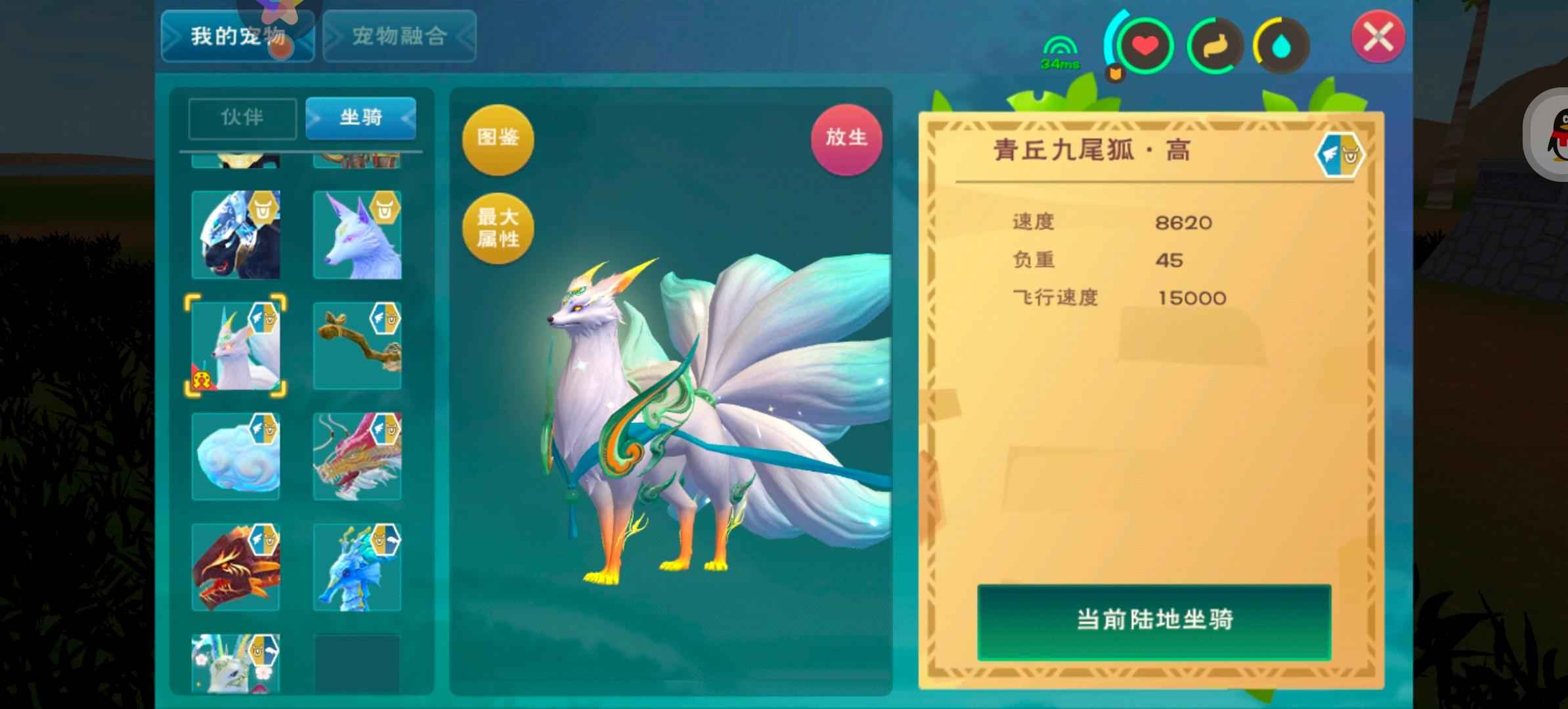 创造与魔法云龙金龙飞天狐飞天家园皮肤