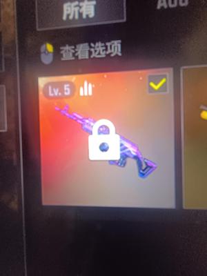 绝地求生（PUBG）5级美杜莎(准6级缺聚合物)