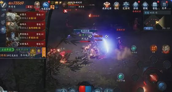 暮光双龙【55级战士战力7,3333】金宠巅峰7战士7.35W战力