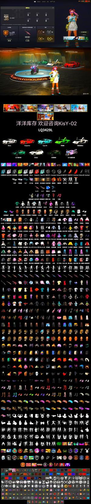 绝地求生（PUBG）满级火麒麟布朗熊多跑车