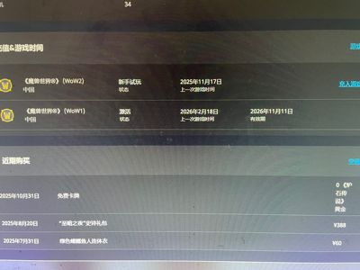 魔兽世界十几个满级职业，时间到11月