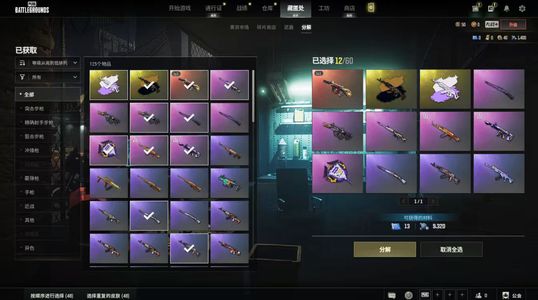 绝地求生（PUBG）4级金牛aug（异色分解直升）