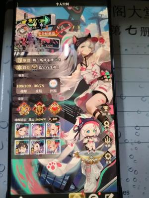 斗罗大陆：武魂觉醒【189级】两亿养老号历史精1冠4