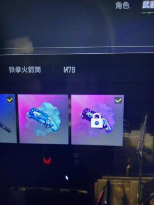 绝地求生（PUBG）权志龙AUG三级带异色女团