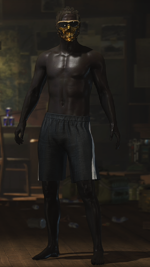 绝地求生（PUBG）无信号m4老黑金面白熊套