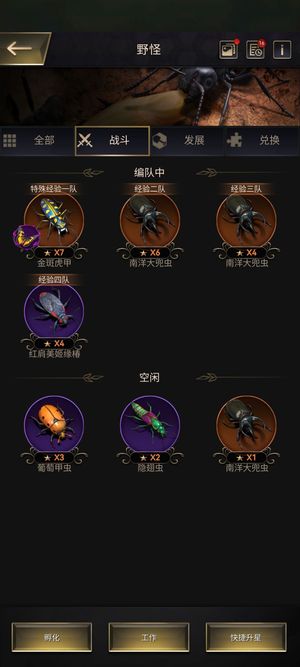 小小蚁国【23级VIP5战力703,0182】带金斑虎甲的资源号，急岀