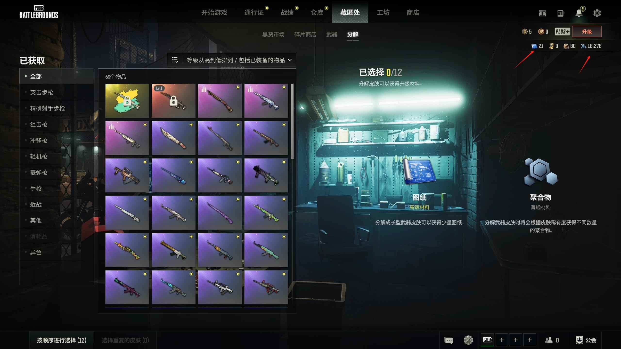 绝地求生（PUBG）原皮异色ACE 21图纸可升6
