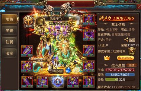 传奇世界手游【422级法师】本服第一男法