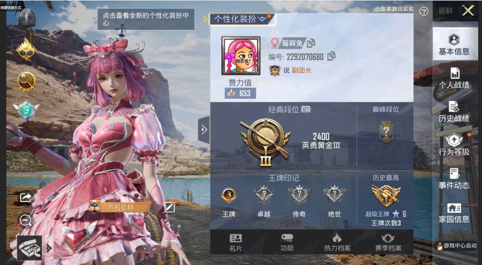 和平精英【苹果版】4升级枪 9粉装 1飞行器 126枪皮 82套装 40572热力 3印记 黄金