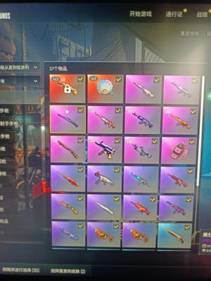 绝地求生（PUBG）生存等级23 名誉等级2 成长武器 究极 载具 枪皮小小小小号