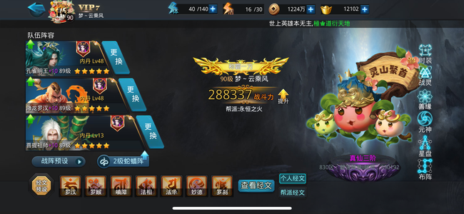 乱斗西游2【90级】28.8万战孔雀精品打花号