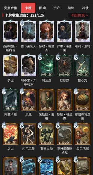 哈利波特：魔法觉醒【92级】超多皮肤男号