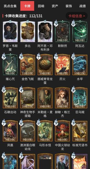 哈利波特：魔法觉醒【67级】多皮肤女号