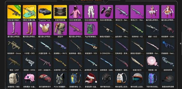 绝地求生（PUBG）悲喜套装，卡宴，ACE成长异色