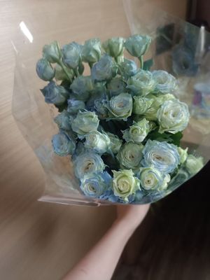 闪耀暖暖【72级】有包改名卡