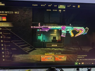 绝地求生（PUBG）喜欢玩556的无敌小号