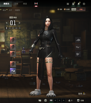 绝地求生（PUBG）柳智敏卡宴多利安900票