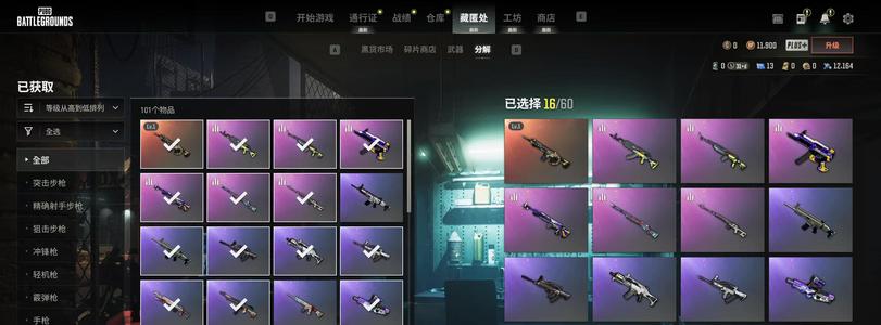 绝地求生（PUBG）准5级新款时空使者M416