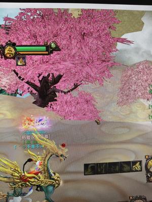 新寻仙（端游）不玩了甩卖