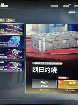 绝地求生（PUBG）800黑货卷改名卡80宝箱