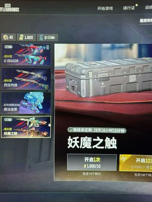 绝地求生（PUBG）1900黑货一百宝箱黄东改名卡