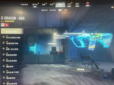 绝地求生（PUBG）权志龙aug1900黑货改名卡