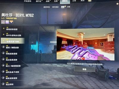 绝地求生（PUBG）生存等级1 名誉等级2 成长武器 究极 载具 枪皮三成长武器粉烟金面绿东白熊脚