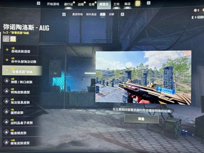 绝地求生（PUBG）女团短发三级aug时空m4熊脚