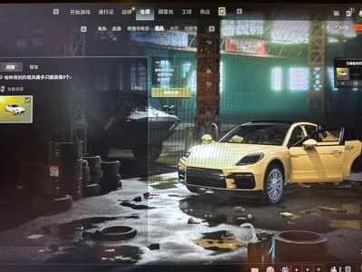 绝地求生（PUBG）保时捷帕梅双成长粉烟可排位