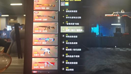 绝地求生（PUBG）六成长烟枪烟弹卡宴绿东