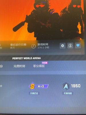 CSGO历史s3星1.22rt