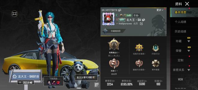 PUBG M（外服）满级虎啸m4两金装路特斯跑车