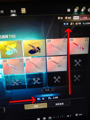 绝地求生（PUBG）5成长带异色 23图纸，巴黎1