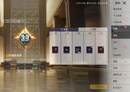 PUBG M（外服）金装神羽恋人。