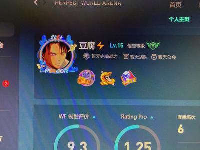 CSGOcsgo完美pnl勋章