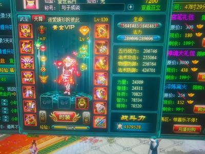 凡人修真【120级星辰-天师】要的就④聊