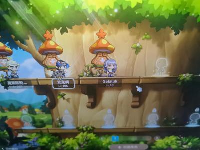 冒险岛（端游）【200级】联盟号420联盟等级