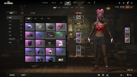 绝地求生（PUBG）成长武器多，满级生存，多皮肤，