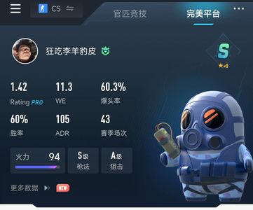 CSGO完美1.4rt S加60款游戏