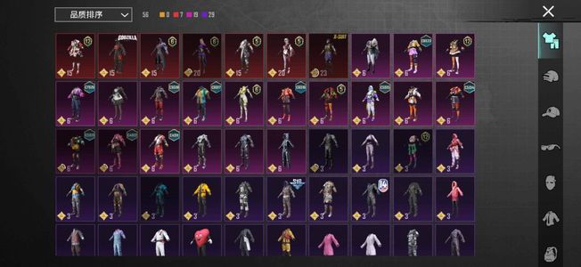 PUBG M（外服）龙吟星云苍龙