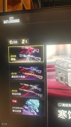 绝地求生（PUBG）满级冲锋枪枪加异色