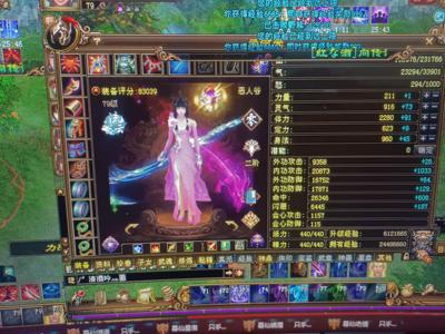 新天龙八部（端游）4级，属性4级基本上八星手工