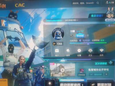 CSGO完美老兵，带战地5