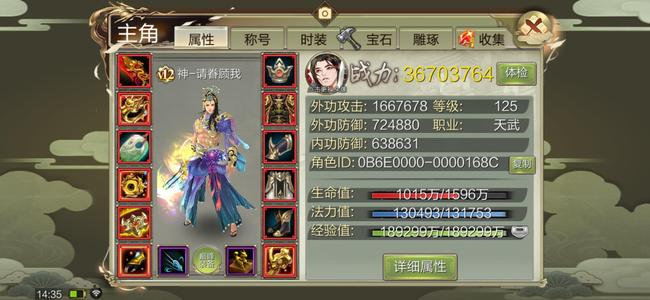 天龙八部3D【125级天武】12天武，满星飞火