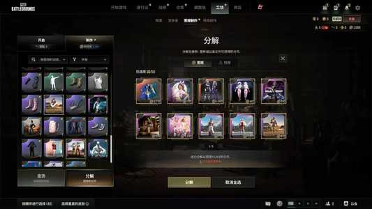 绝地求生（PUBG）双马尾加工坊皮肤若干加改名卡