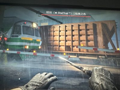 CSGO短剑可5e